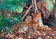 Okładka książki Puzzle 3000 Jaguary w dżungli CASTOR