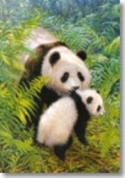 Okładka książki Puzzle 500 Mama panda i dziecko CASTOR