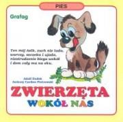 Zwierzęta wokół nas. Autor: Adolf Dudek, Czcibor-Piotrowski Andrzej. Dadada.pl Okładka książki Zwierzęta wokół nas