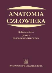 Okładka książki Anatomia człowieka PZWL