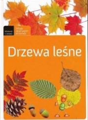 Drzewa leśne. Autor: praca zbiorowa. Dadada.pl Okładka książki Drzewa leśne