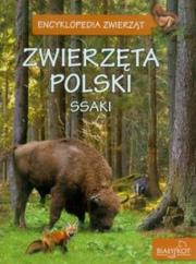 Encyklopedia Zwierząt - Zwierz. Polski Ssaki. Autor: Elżbieta Zarych. Dadada.pl Okładka książki Encyklopedia Zwierząt - Zwierz. Polski Ssaki