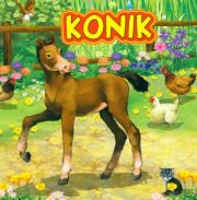 Konik JAFI. Autor: Katarzyna Campbell. Dadada.pl Okładka książki Konik JAFI