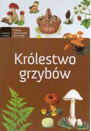 Królestwo grzybów. Autor: praca zbiorowa. Dadada.pl Okładka książki Królestwo grzybów