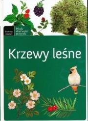 Krzewy leśne. Autor: praca zbiorowa. Dadada.pl Okładka książki Krzewy leśne