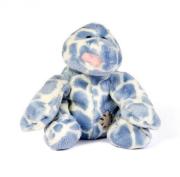 Okładka książki Miś BLUE NOSE - Jaszczurka Gossip