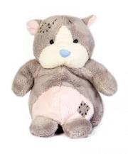 Okładka książki Miś BLUE NOSE - Chomik Peanuts