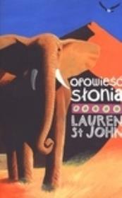 Opowieść słonia. Autor: Lauren St John. Dadada.pl Okładka książki Opowieść słonia