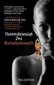 Osiemdziesiąt Dni Bursztynowych. Autor: Jackson Vina. Dadada.pl Okładka książki Osiemdziesiąt Dni Bursztynowych