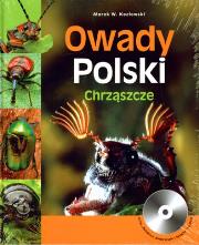 Okładka książki Owady Polski. Chrząszcze