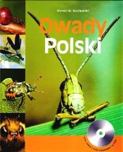 Okładka książki Owady Polski