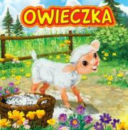 Okładka książki Owieczka JAFI