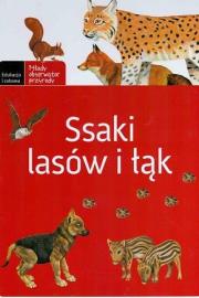 Ssaki lasów i łąk. Autor: Wilamowska Małgorzata. Dadada.pl Okładka książki Ssaki lasów i łąk
