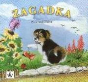 Okładka książki Zagadka