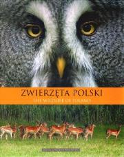 Okładka książki ZWIERZETA POLSKI ALBUM-MULT