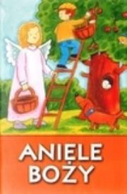 Okładka książki Aniele Boży