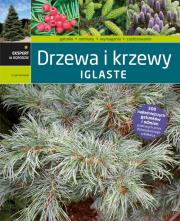 Okładka książki Drzewa i krzewy iglaste