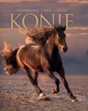 Konie. Pochodzenie, rasy, cechy. Autor: Opracowanie zbiorowe. Dadada.pl Okładka książki Konie. Pochodzenie, rasy, cechy