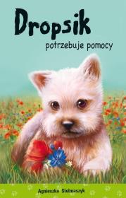 Kto mnie przytuli? Dropsik potrzebuje pomocy. Autor: Stelmaszyk Agnieszka. Dadada.pl Okładka książki Kto mnie przytuli? Dropsik potrzebuje pomocy