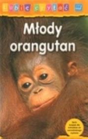 Okładka książki Młody orangutan. Lubię czytać