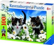 Okładka książki Puzzle 100 Kotki i stokrotki