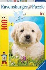 Okładka książki Puzzle 100 Słodki szczeniak