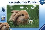 Okładka książki Puzzle 150 Cudowne króliczki