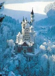 Okładka książki Puzzle 1500 Zamek zimą