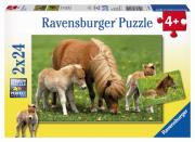 Okładka książki Puzzle 2X24 Cudowne koniki pony