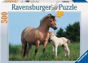 Okładka książki Puzzle 500 Konie