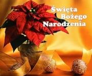 Święta Bożego Narodzenia. Perełka 31. Autor: Opracowanie zbiorowe. Dadada.pl Okładka książki Święta Bożego Narodzenia. Perełka 31