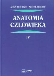 Okładka książki Anatomia człowieka tom 4