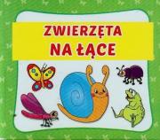 Harmonijka mała. Zwierzęta na łące. Autor: Pruchnicka Emilia. Dadada.pl Okładka książki Harmonijka mała. Zwierzęta na łące