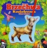 Okładka książki Koziołeczek i inne wiersze (OT)