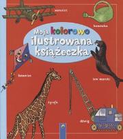 Moja kolorowo ilustrowana książeczka. Autor: praca zbiorowa. Dadada.pl Okładka książki Moja kolorowo ilustrowana książeczka