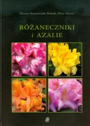 Różaneczniki i azalie. Autor: Grzeszczak-Nowak Hanna, Muras Piotr. Dadada.pl Okładka książki Różaneczniki i azalie