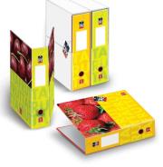 Opakowanie Segregator z pudełkiem A4 Pigna Fruits 2 zaczepy z dźwignią mix wzorów