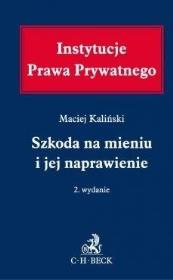 Szkoda na mieniu i jej naprawienie. Autor: Kaliński Maciej. Dadada.pl Okładka książki Szkoda na mieniu i jej naprawienie