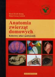 Okładka książki Anatomia zwierząt domowych