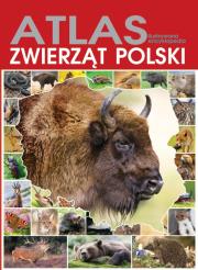 Okładka książki Atlas zwierząt Polski FENIX