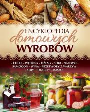 Okładka książki Encyklopedia domowych wyrobów