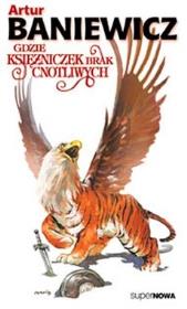 Okładka książki Gdzie księżniczek brak cnotliwych tom 3