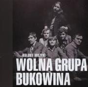 Kolory muzyki. Autor: Wolna Grupa Bukowina. Dadada.pl Okładka książki Kolory muzyki