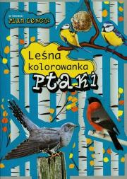 Okładka książki Leśna Kolorowanka. Ptaki