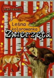 Okładka książki Leśna Kolorowanka. Zwierzęta