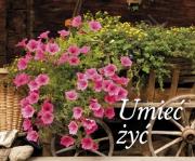 Perełka 002 - Umieć żyć. Autor: Opracowanie zbiorowe. Dadada.pl Okładka książki Perełka 002 - Umieć żyć