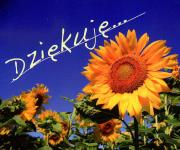 Perełka 023 - Dziękuję..... Autor: Opracowanie zbiorowe. Dadada.pl Okładka książki Perełka 023 - Dziękuję....