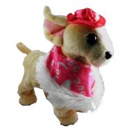 Opakowanie Pies na smyczy w pelerynce i czapce