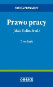 Prawo pracy. Autor: Stelina Jakub. Dadada.pl Okładka książki Prawo pracy