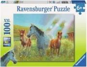 Okładka książki Puzzle 100 el.-KONIE NA PASTWISKU